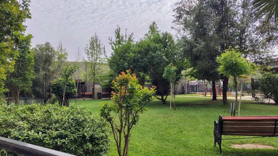 ARRIENDO DEPARTAMENTO 1HAB 1B GC INCLUIDOS - Imagen 19