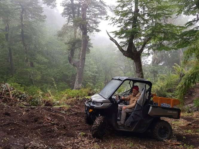 MAJESTUOSO CAMPO DE 209,5 HECTAREAS EN MELIPEUCO OPORTUNIDAD UNICA