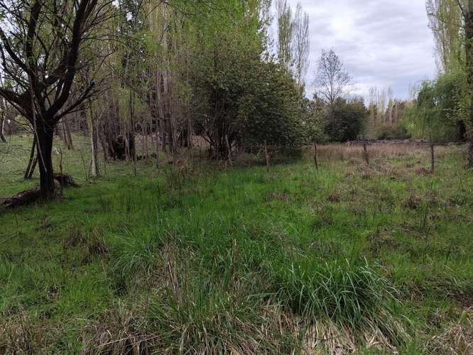 Venta de terreno en sector Los molinos-Paraguay, Los Ángeles, Región del Biobío