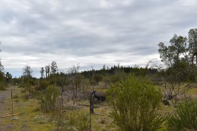 Venta de terreno en sector Los molinos-Paraguay, Los Ángeles, Región del Biobío