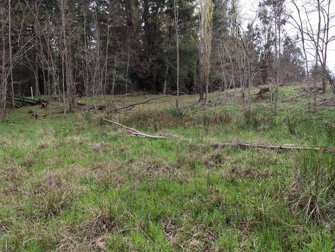 Venta de terreno en sector Los molinos-Paraguay, Los Ángeles, Región del Biobío