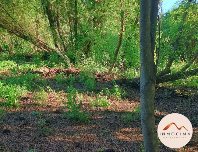 Arriendo de Campamento Agrícola en Longaví
