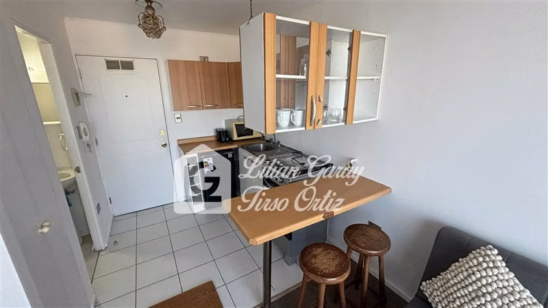 Departamento en arriendo de 1 dorm. en Concepción - Imagen 3