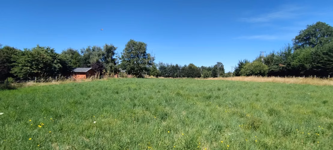 SE VENDE LINDA PARCELA SECTOR LAS QUEMAS OSORNO - Imagen 4