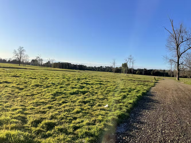 SE VENDEN HERMOSAS PARCELAS A 18 KM DE OSORNO - Imagen 2