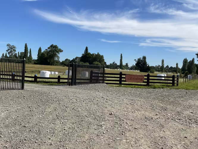 SE VENDEN HERMOSAS PARCELAS A 18 KM DE OSORNO - Imagen 8