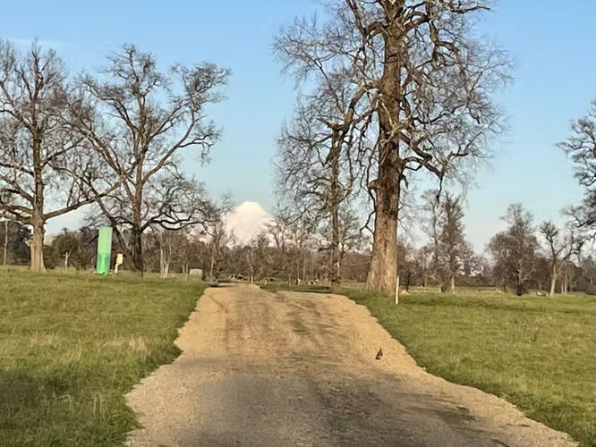 SE VENDEN HERMOSAS PARCELAS A 18 KM DE OSORNO - Imagen 6