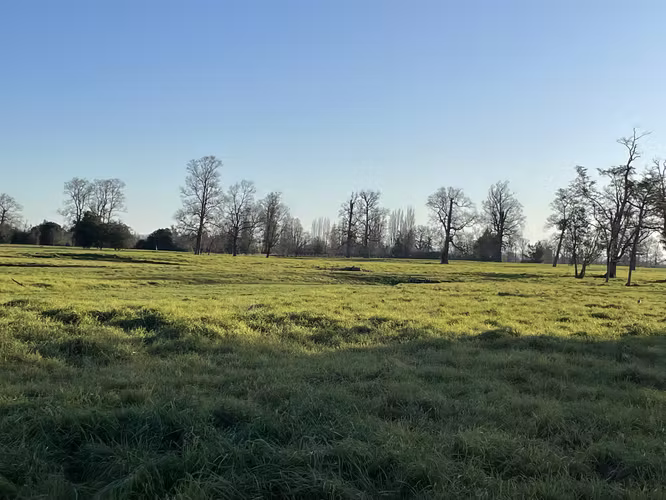 SE VENDEN HERMOSAS PARCELAS A 18 KM DE OSORNO - Imagen 3