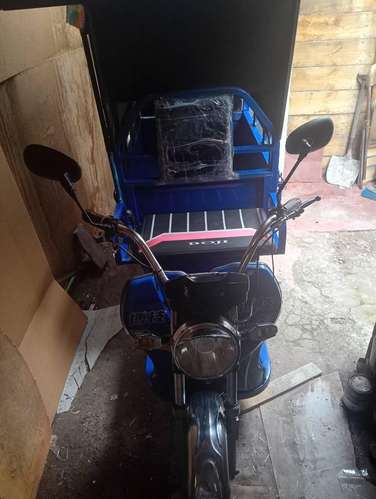 Carro eléctrico Boji