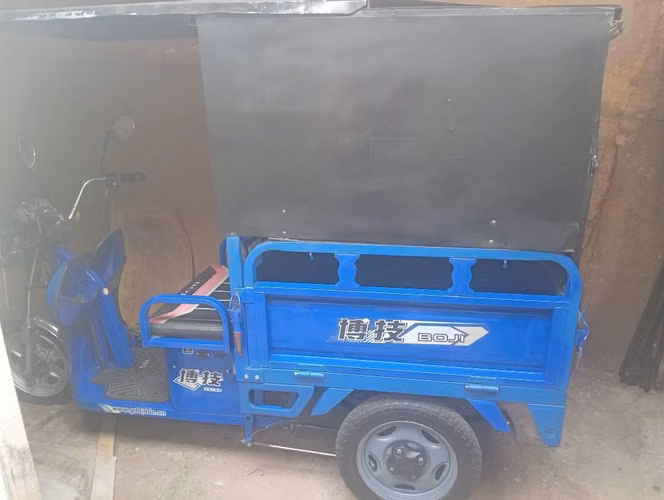 Carro eléctrico Boji