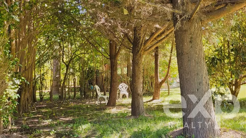 Sitio en Pirque con casa colonial en el sector El Bosque - Imagen 31