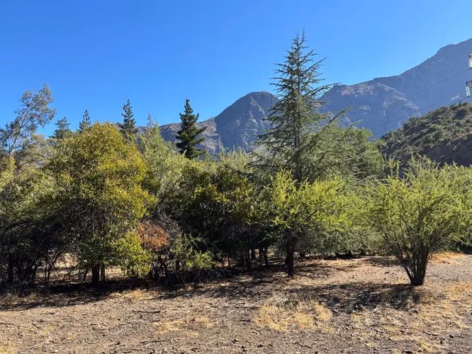 Excelete terreno en venta para proyecto ecoturismo en El Ingenio, San José de Maipo