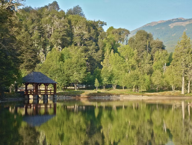 Espectacular terreno en venta Curicó a la cordillera, bosque nativo valdiviano, 5,51Ha El Buchén. Oportunidad