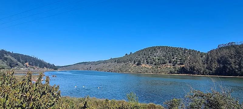 RESERVA LAS SALINAS DE CAHUIL, PICHILEMU - Imagen 12