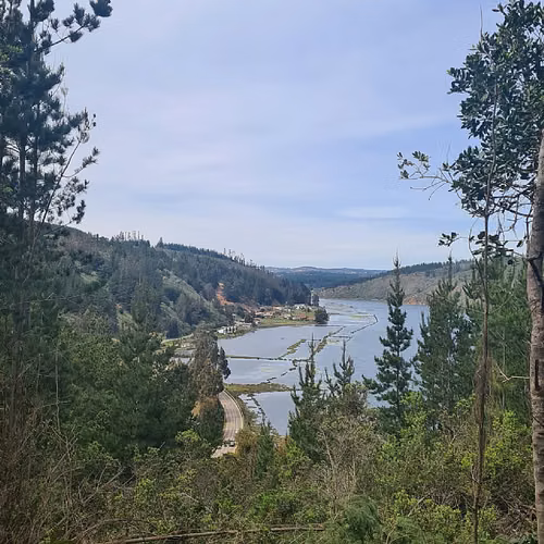 RESERVA LAS SALINAS DE CAHUIL, PICHILEMU - Imagen 15