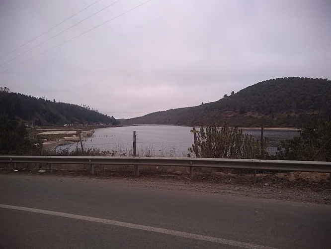 RESERVA LAS SALINAS DE CAHUIL, PICHILEMU - Imagen 10