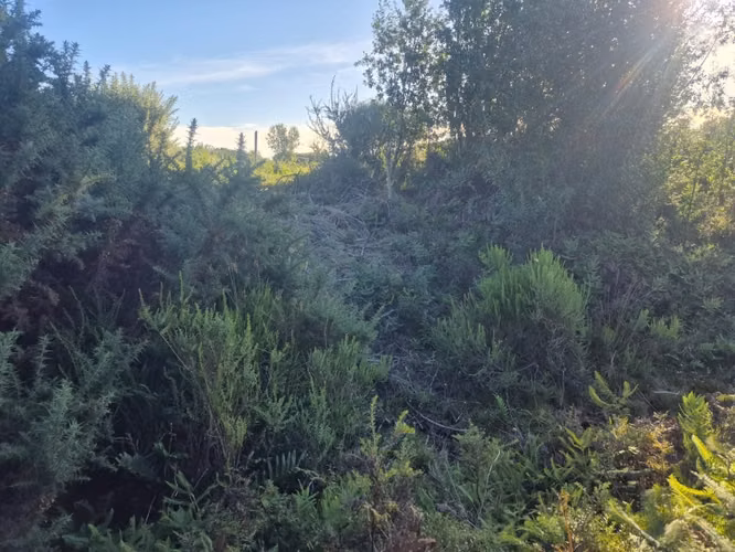 Parcela en venta Fundo Dos Lomas, La Vara - Imagen 3