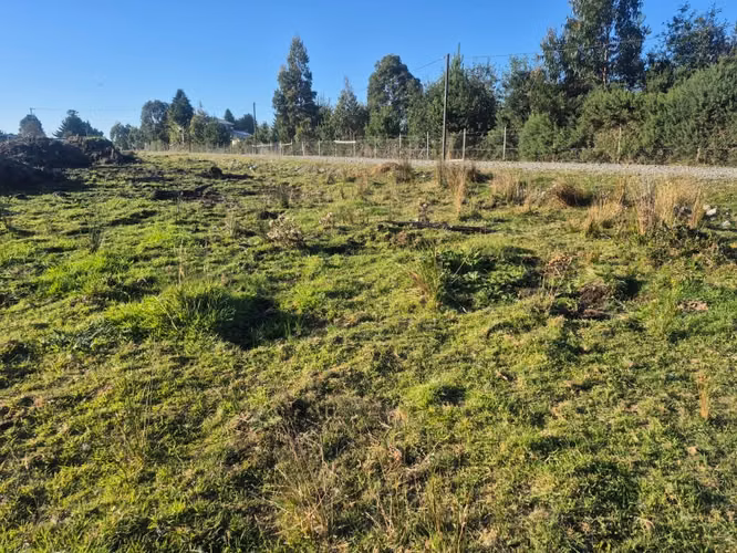 Parcela en venta Fundo Dos Lomas, La Vara - Imagen 10
