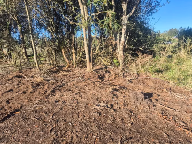 Parcela en venta Fundo Dos Lomas, La Vara - Imagen 9