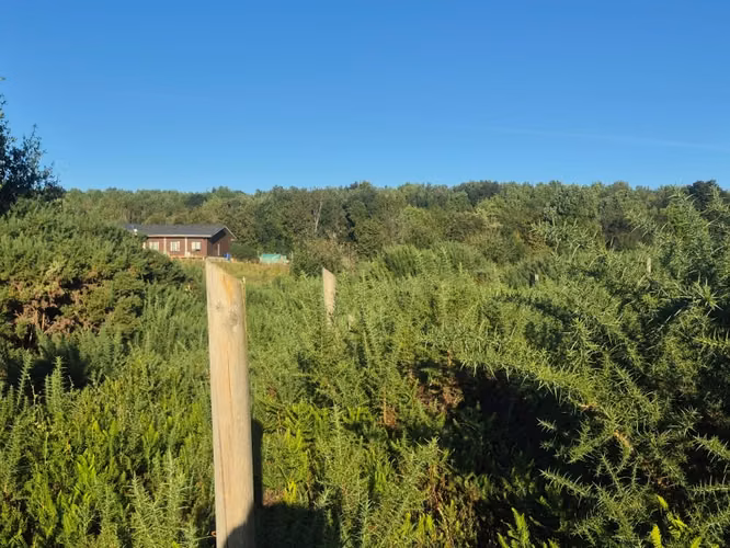 Parcela en venta Fundo Dos Lomas, La Vara - Imagen 2