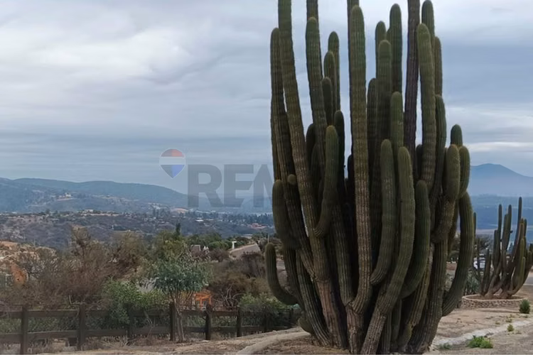 Venta hacienda los aromos, limache - Imagen 2