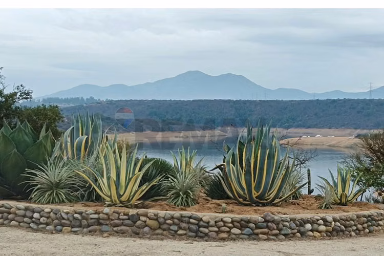 Venta hacienda los aromos, limache - Imagen 8