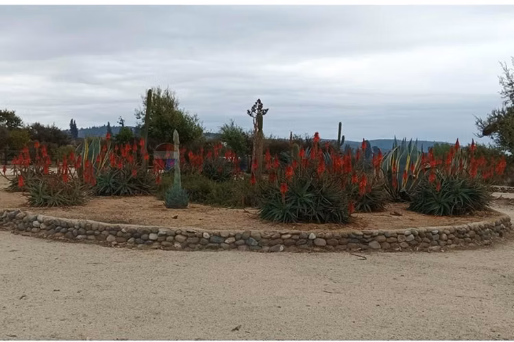 Venta hacienda los aromos, limache - Imagen 9
