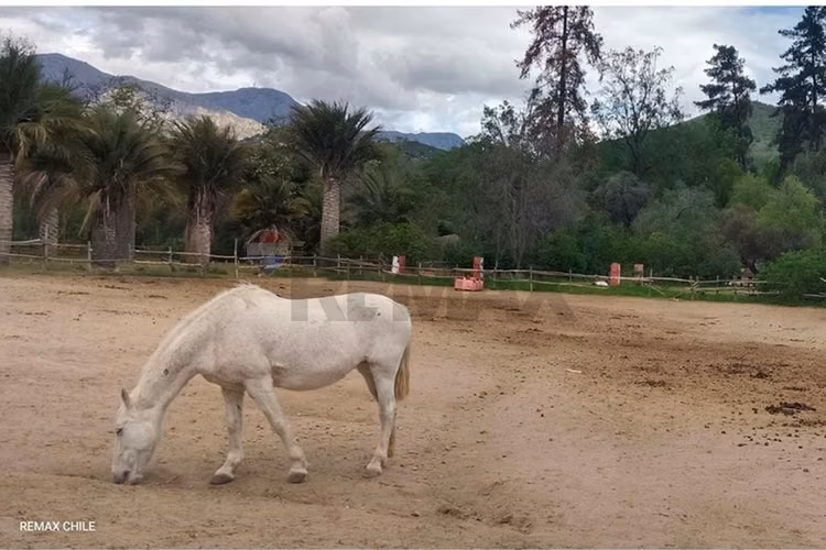 Venta parcela condominio oasis de la campana - Imagen 20