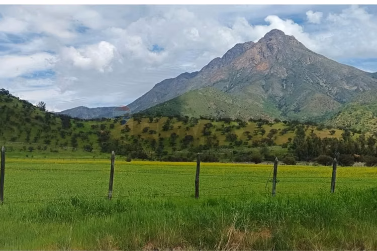 Venta parcela condominio oasis de la campana - Imagen 21