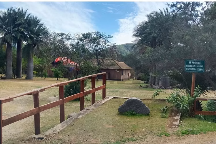 Venta parcela condominio oasis de la campana - Imagen 14