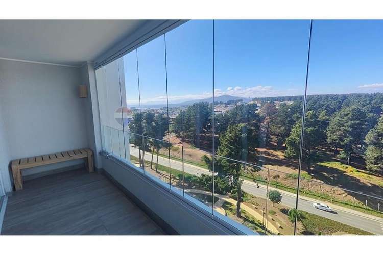 Vistas panorámicas bosques de montemar, concón - Imagen 6