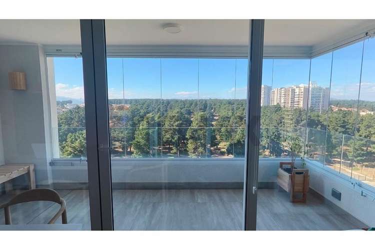 Vistas panorámicas bosques de montemar, concón - Imagen 7