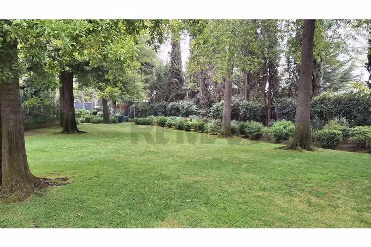 Depto en arriendo con jardín 5d 5b 2e - san damian - Imagen 2