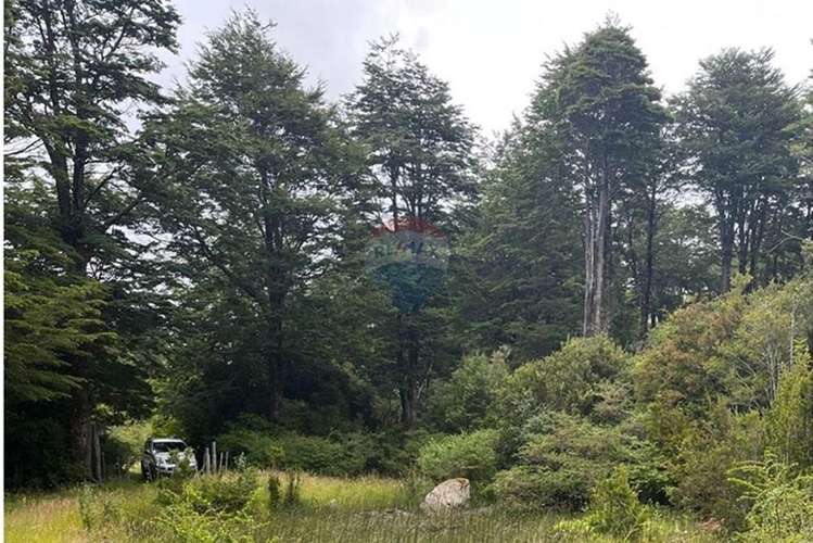 Parcela 5.000 m² con opción de mayor superficie