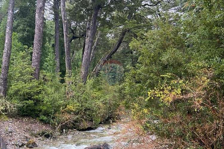 Parcela 5.000 m² con opción de mayor superficie