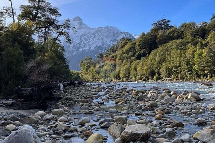 Parcela 5.000 m² con opción de mayor superficie