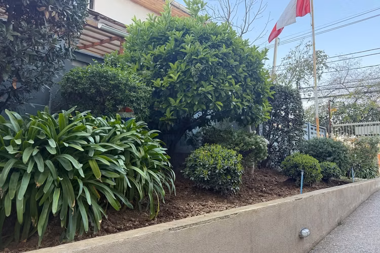 Arriendo departamento en walker martinez 2b 3d - Imagen 22