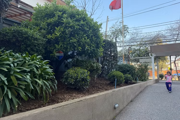 Arriendo departamento en walker martinez 2b 3d - Imagen 21