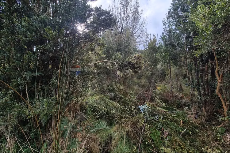 Espectacular vista-terreno 7700 m-lago natri - Imagen 23
