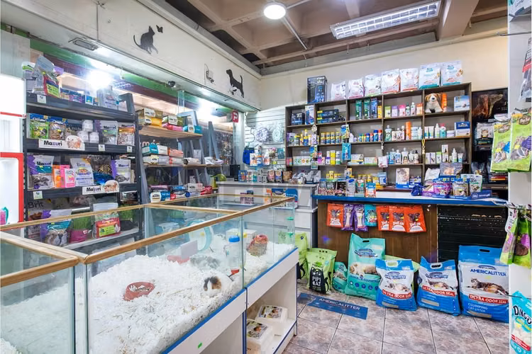 Venta derecho de llave pet shop