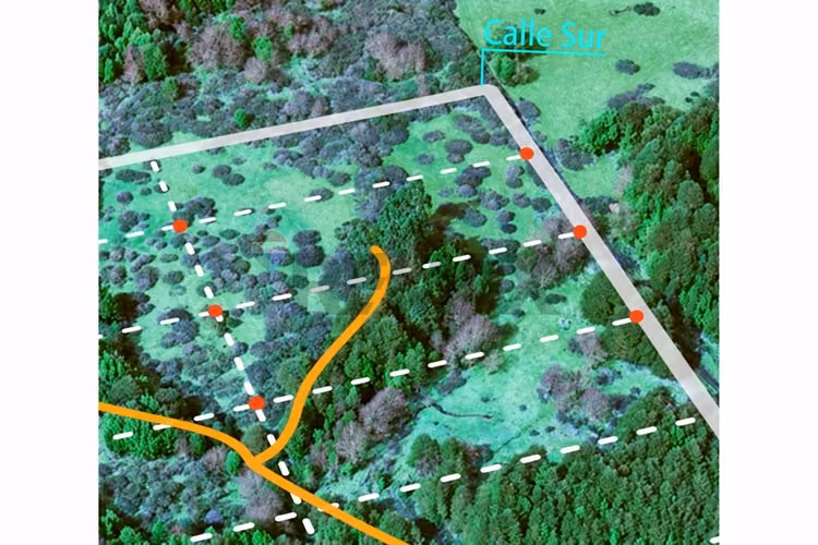 Lote de naturaleza en chiloé | el momento es hoy
