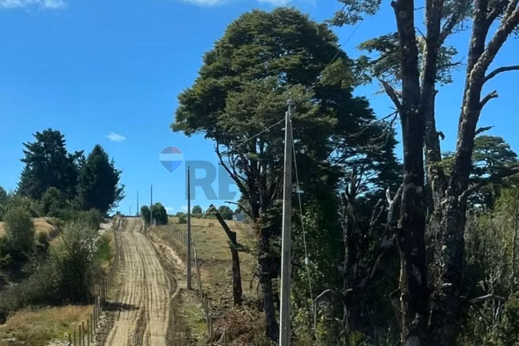Lote de naturaleza en chiloé | el momento es hoy