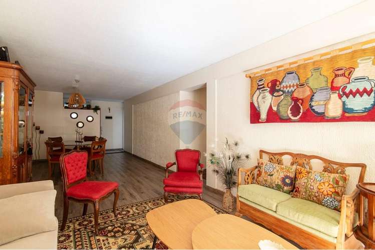 Venta departamento remodelado suecia providencia - Imagen 6