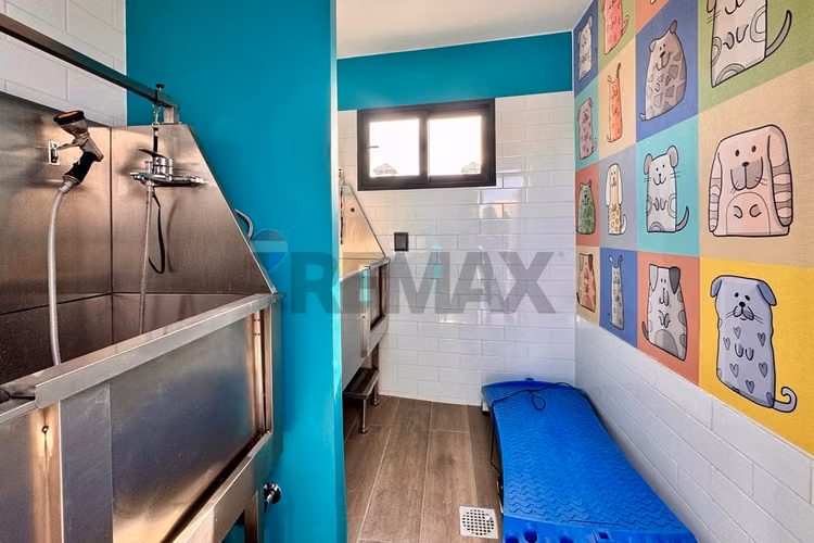 Nuevo: estudio, piso 9 con terraza vista norte - Imagen 28