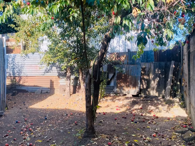SE VENDE CASA SECTOR EXCELENTE UBICACIÓN, TEMUCO - Imagen 11