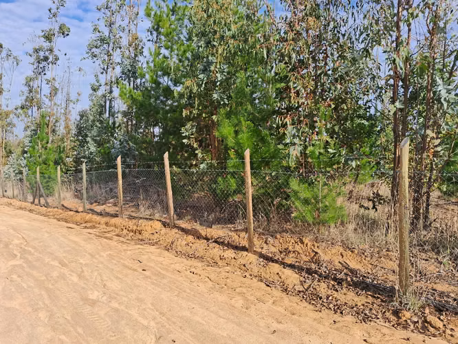 PARCELA 5000 MTS LISTA PARA CONSTRUIR EN VIVE BUCALEMU - Imagen 3