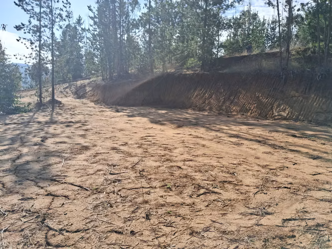 PARCELA 5000 MTS LISTA PARA CONSTRUIR EN VIVE BUCALEMU - Imagen 27