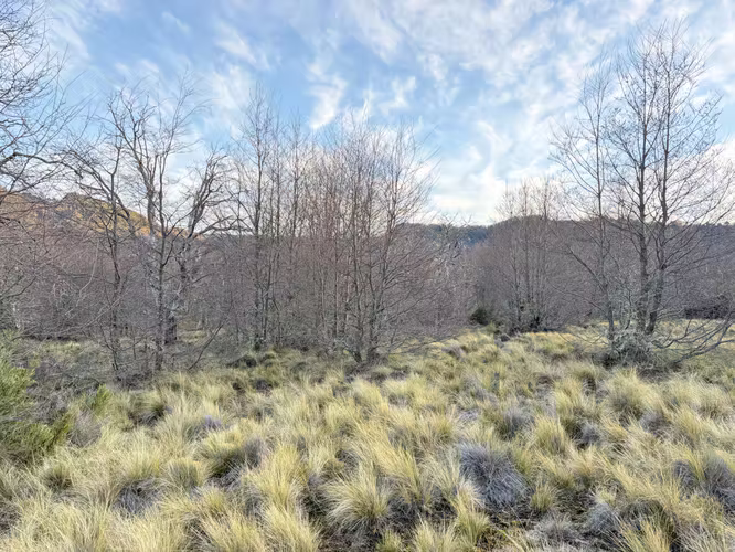 SE VENDE HERMOSA PARCELA ORILLA DE RIO 10200M2 MALALCAHUELLO - Imagen 3