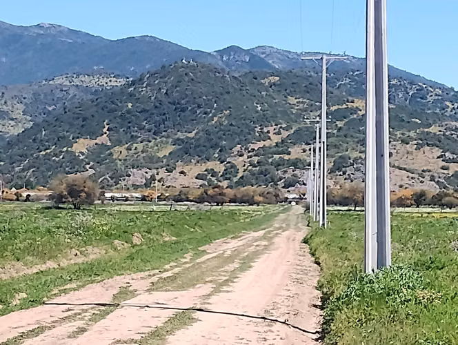 TERRENO LISTO PARA CONSTRUIR TU PROXIMO PROYECTO - Imagen 10