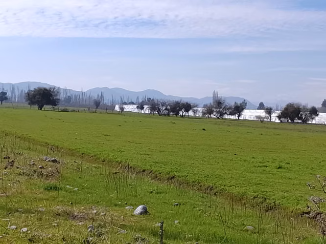 TERRENO LISTO PARA CONSTRUIR TU PROXIMO PROYECTO - Imagen 5